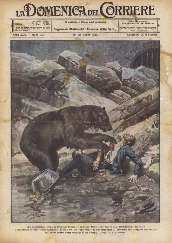 En dramatisk scen i Roms zoologiska trädgårdar av Achille Beltrame