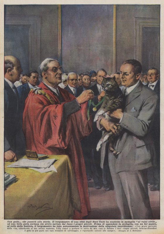 En katt? som kommer att gå till historien av Achille Beltrame