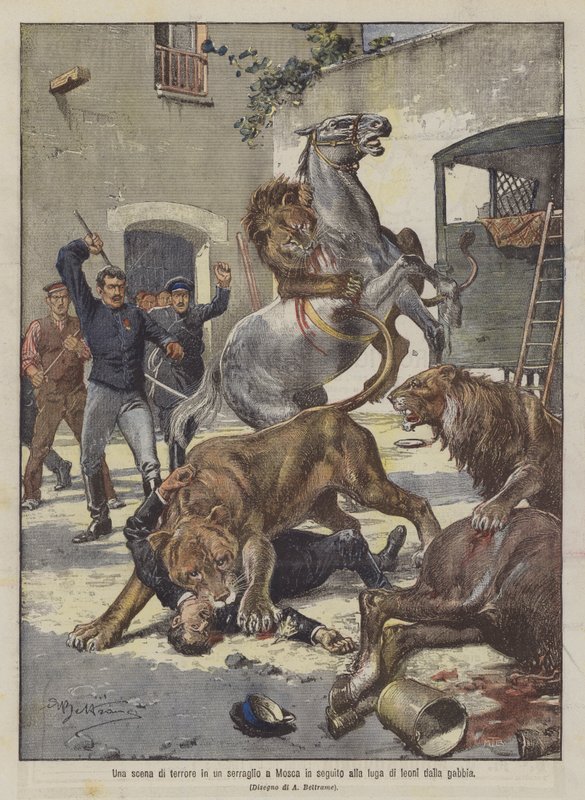 En skräckscen i ett menageri i Moskva efter lejonens flykt från buren av Achille Beltrame
