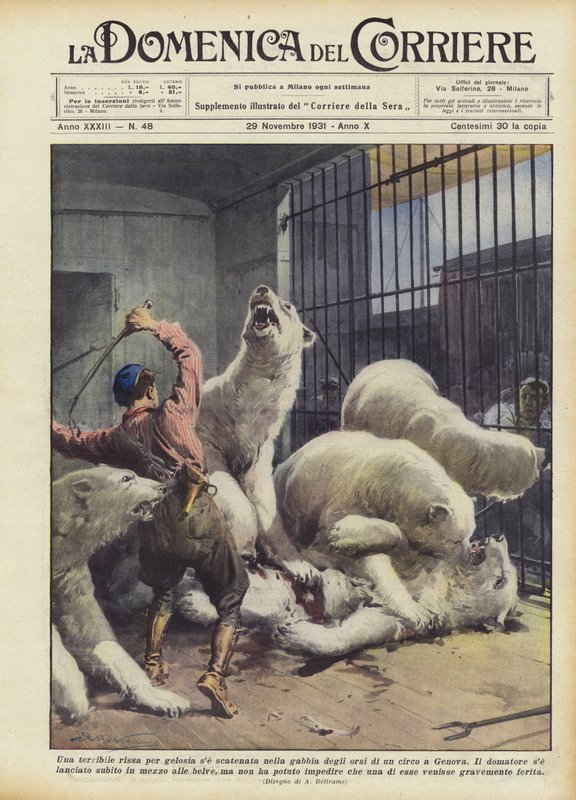 En fruktansvärd kamp av svartsjuka om den släpps lös i björnburen på en cirkus i Genua av Achille Beltrame