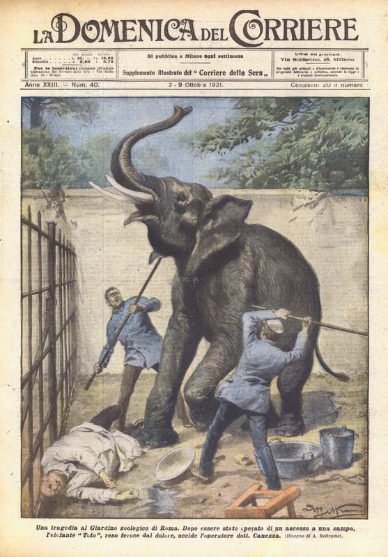 En tragedi i Roms zoologiska trädgård av Achille Beltrame