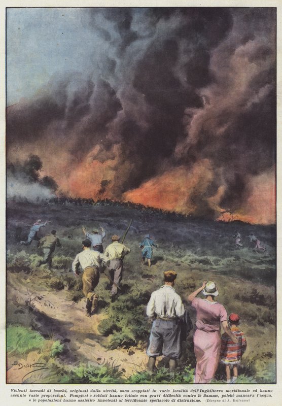 Våldsamma skogsbränder, med ursprung i torka, har brutit ut på olika platser? av Achille Beltrame