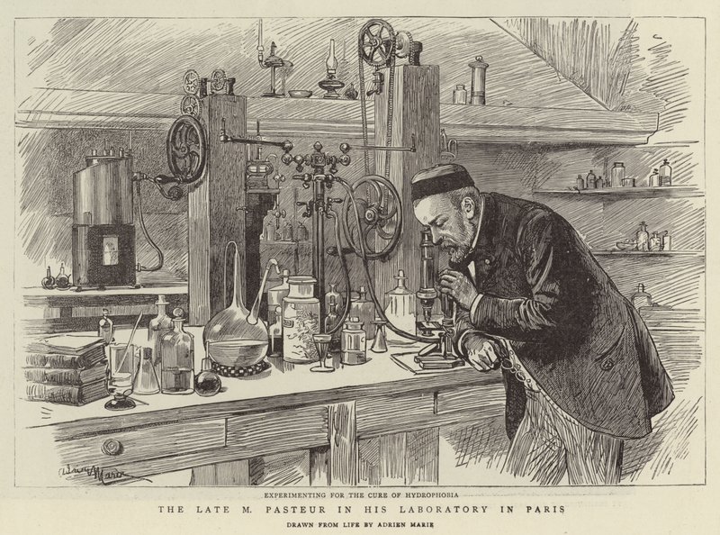The Late M Pasteur i sitt laboratorium i Paris av Adrien Emmanuel Marie