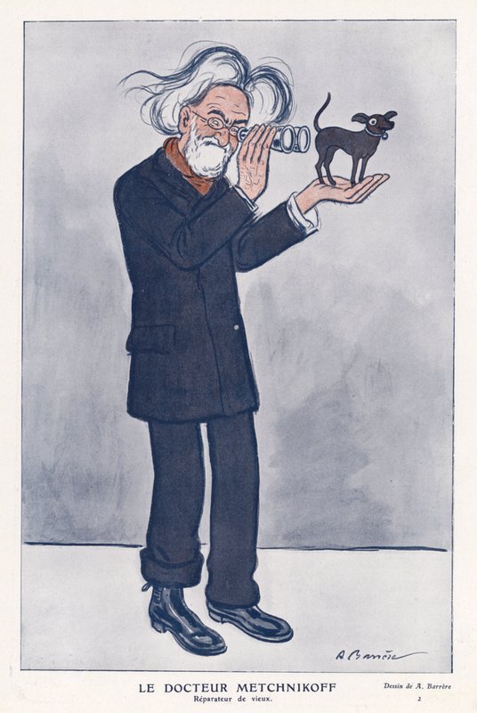 Elie Metchnikoff, rysk zoolog (färg litho) av Adrien Barrere