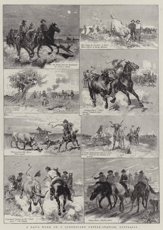 En dags arbete på en Queensland Cattle-station, Australien av Adrien Emmanuel Marie