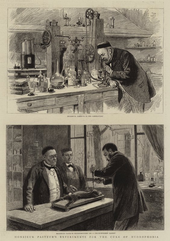Monsieur Pasteurs experiment för att bota hydrofobi av Adrien Emmanuel Marie