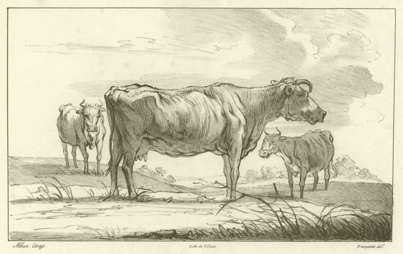 Tre kor av Aelbert Cuyp