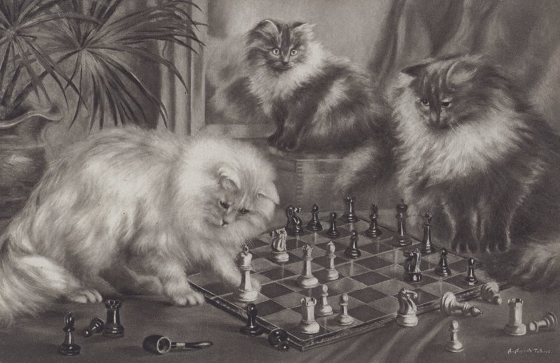 Grupp katter som leker med schackpjäser av Agnes Augusta Talboys