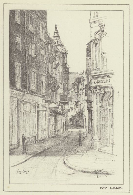 Ivy Lane av Alan Stapleton
