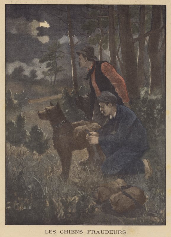 Hundar som används av smugglare för att bära smugglare över gränsen av Albert Besnou