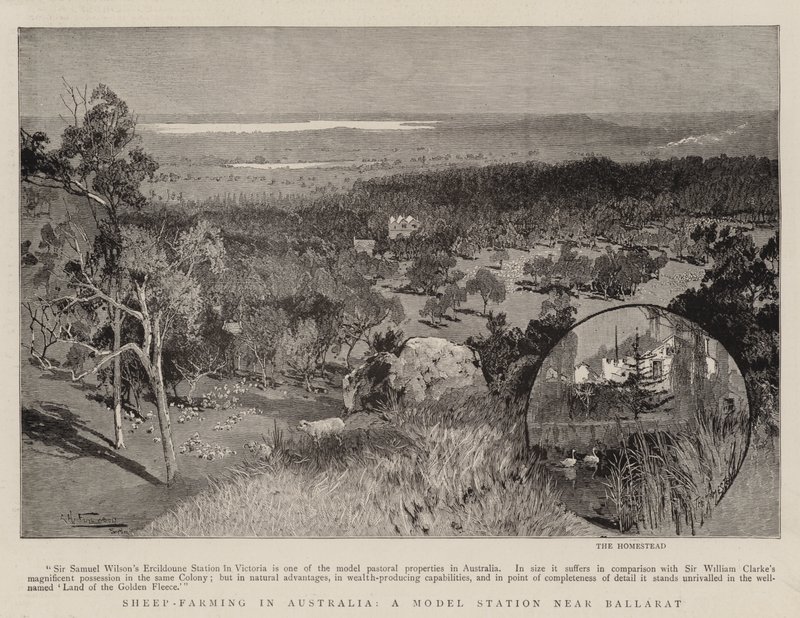 Fåruppfödning i Australien, en modellstation nära Ballarat av Albert Henry Fullwood