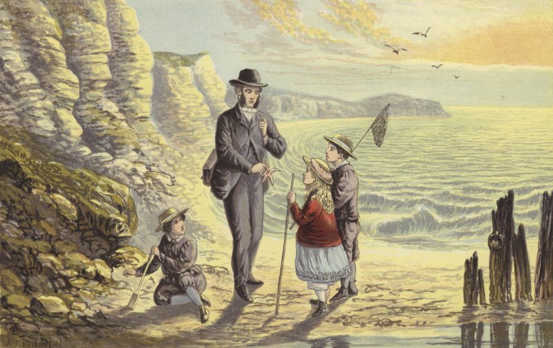 På havsstranden av Alexander Francis Lydon