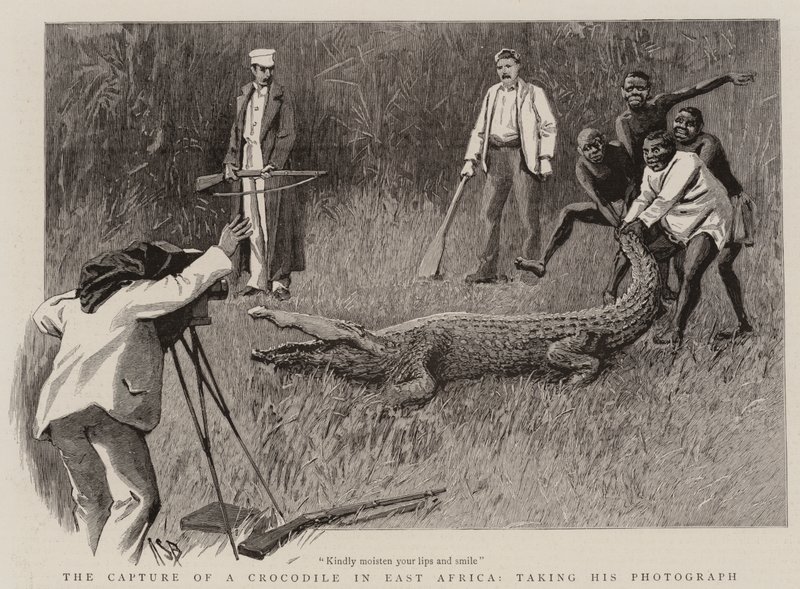 Fångsten av en krokodil i Östafrika, ta hans fotografi av Alexander Stuart Boyd