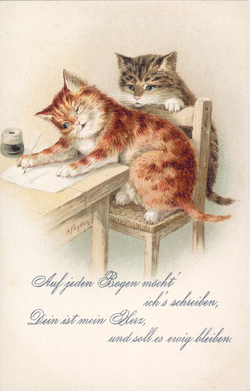 Humoristiskt kattvykort (färglitografi) av Alexander Francis (after) Lydon