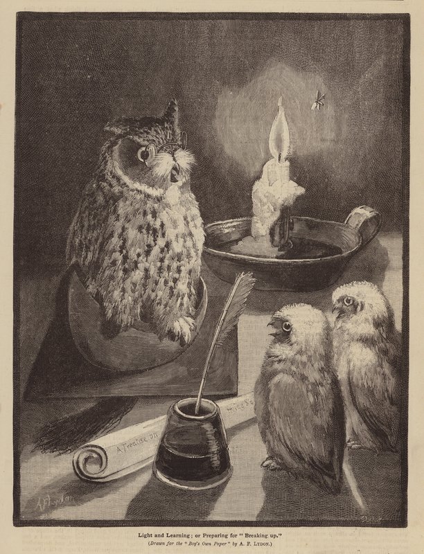 Ljus och lärande; eller, Förberedelser för upplösning (lito) av Alexander Francis (after) Lydon