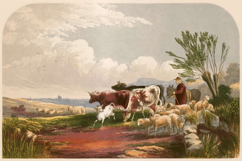 Illustration för Goldsmith