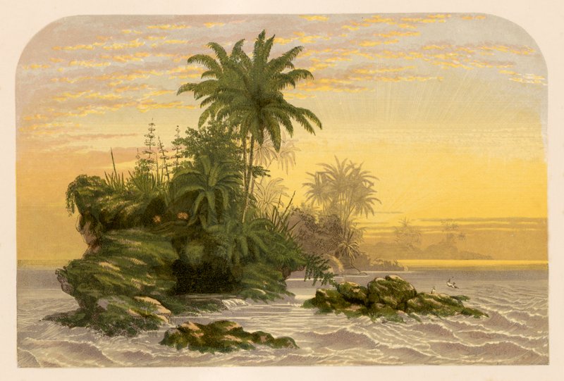 Illustration til Gray