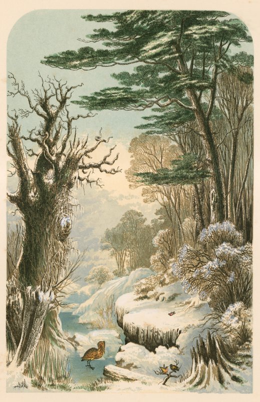 Illustration för Longfellow