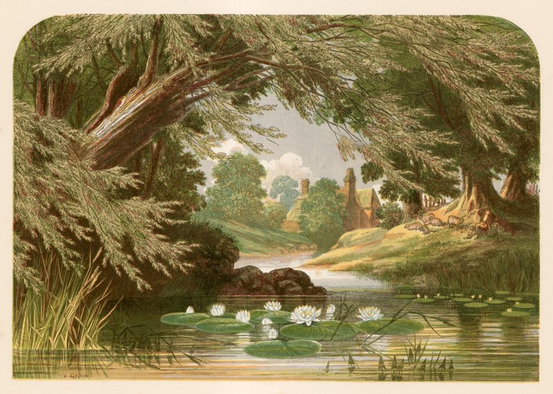Illustration för Mrs Hemans