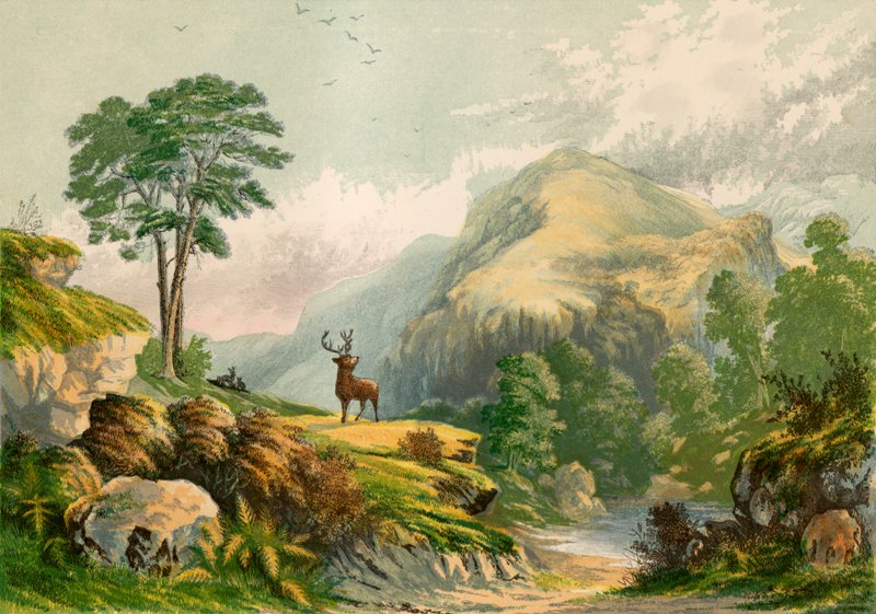 Illustration för Wilsons adress till en vild hjort av Alexander Francis Lydon