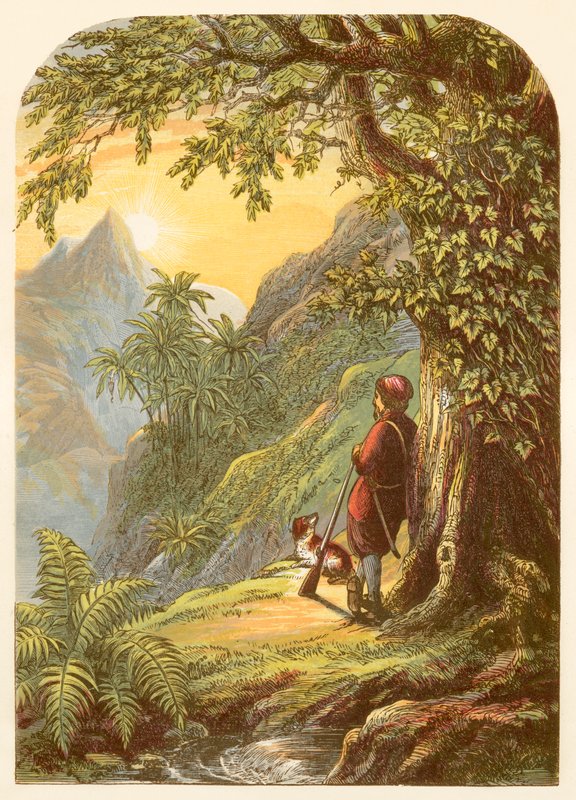 Na faia e Robinson Crusoe se suʻesuʻega o le motu av Alexander Francis Lydon