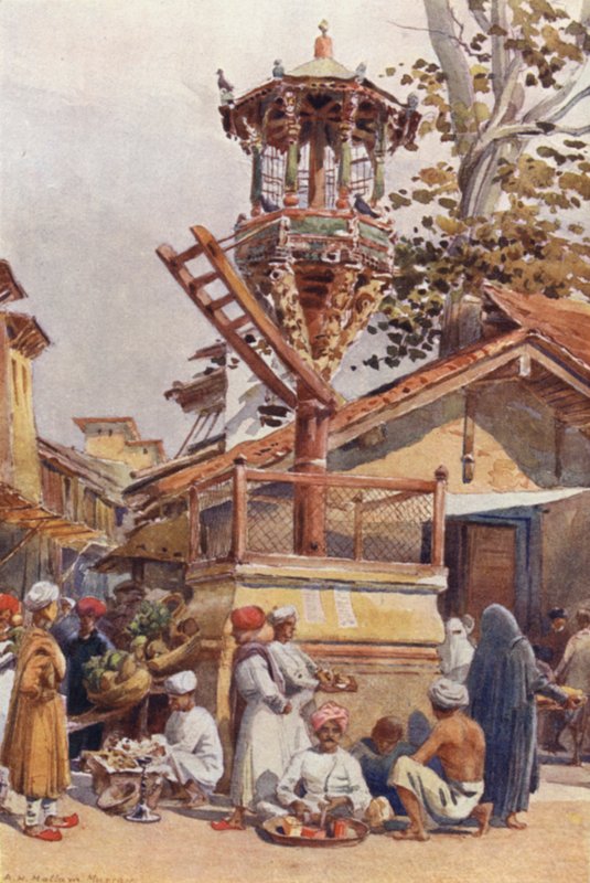 En matplats för fåglar, Ahmedabad av Alexander Henry Hallam Murray