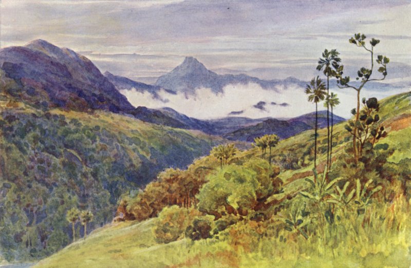 Morgondimmor i dalen av Mahaweli Ganga (färg litho) av Alexander Henry Hallam Murray