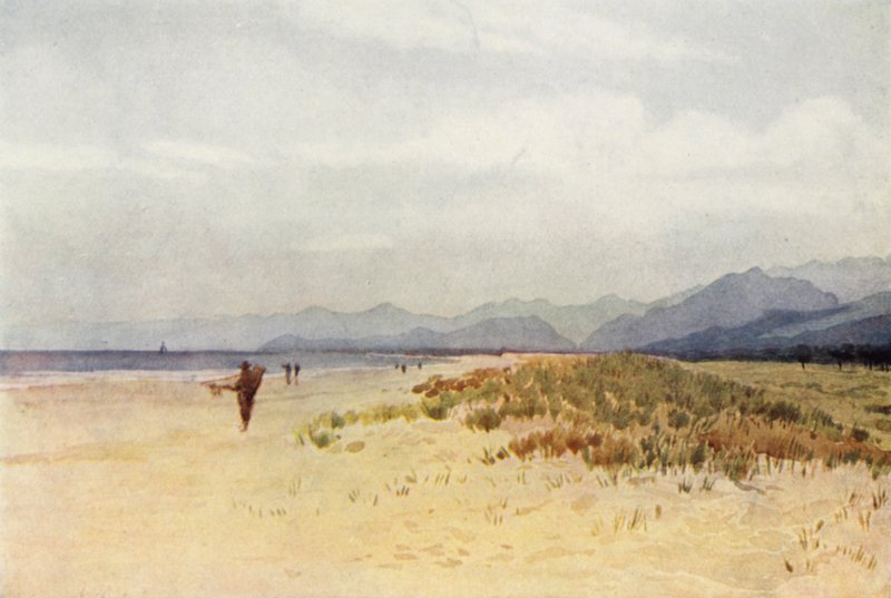 Havskusten norr om Viareggio (färg litho) av Alexander Henry Hallam Murray