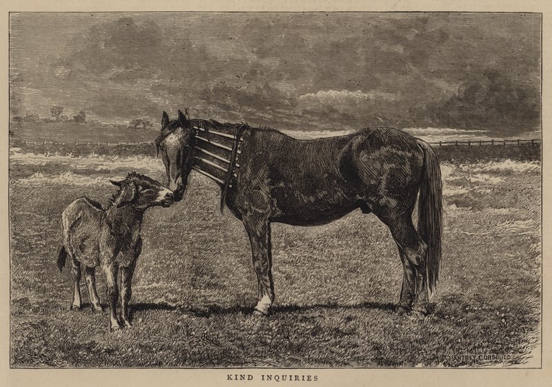 Vänliga förfrågningar av Alfred Chantrey Corbould