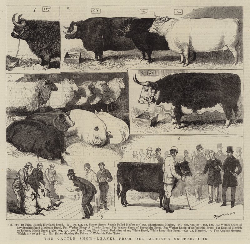 The Cattle Show, blad från vår artists skissbok av Alfred Chantrey Corbould