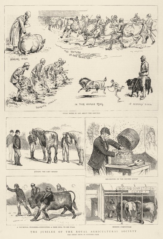 Jubileet för Royal Agricultural Society av Alfred Chantrey Corbould