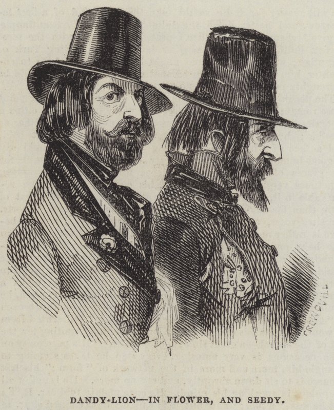 Dandy-Lion, i Flower, och Seedy av Alfred Crowquill