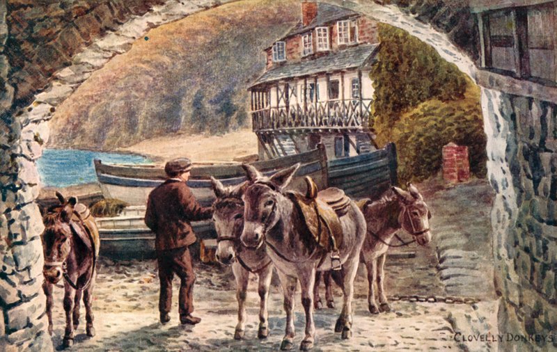 Clovelly åsnor av Alfred Robert Quinton