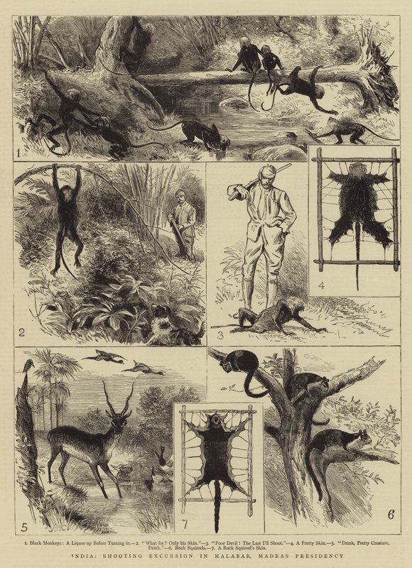 Indien, skjututflykt i Malabar, Madras presidentskap av Alfred W. Cooper