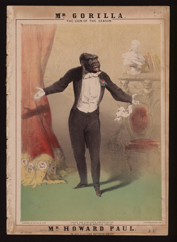 "Jag är Monsieur Chaillus gorilla" (färg litho) av Alfred (after) Concanen