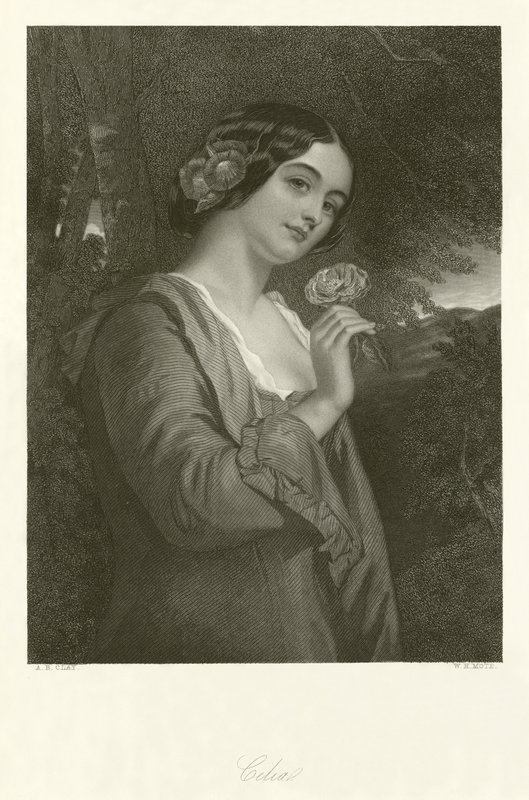 Celia av Alfred Barron Clay
