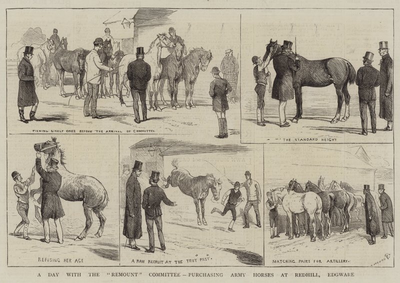 En dag med Remount Committee, inköp av Army Horses i Redhill, Edgware av Alfred Chantrey Corbould