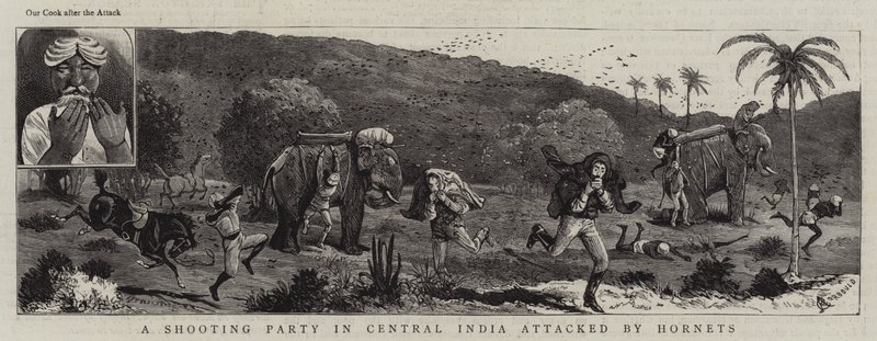 Ett skytteparti i centrala Indien attackerats av bålgetingar av Alfred Chantrey Corbould