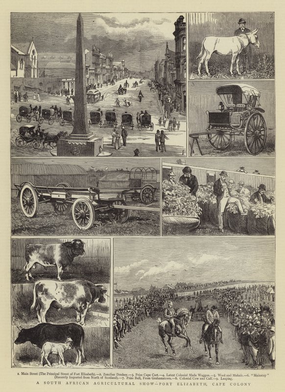 En sydafrikansk jordbruksutställning, Port Elizabeth, Kapkolonin av Alfred Chantrey Corbould