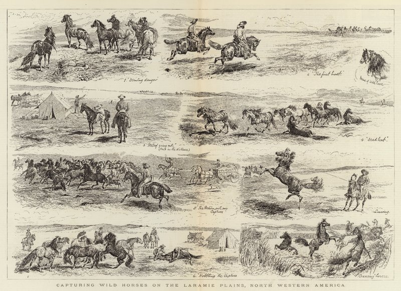 Fånga vilda hästar på Laramie Plains, nordvästra Amerika av Alfred Chantrey Corbould