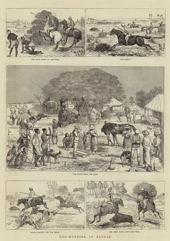 Hog-Jakt i Bengalen av Alfred Chantrey Corbould