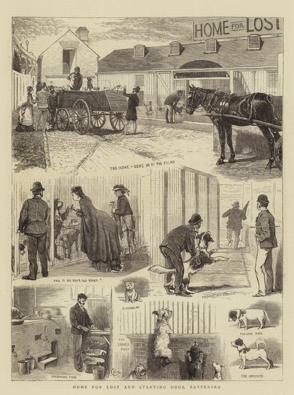 Hem för vilsna och svältande hundar, Battersea av Alfred Chantrey Corbould