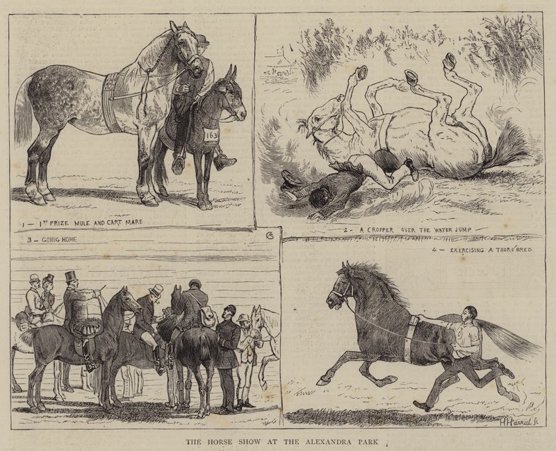 Horse Show på Alexandraparken av Alfred Chantrey Corbould