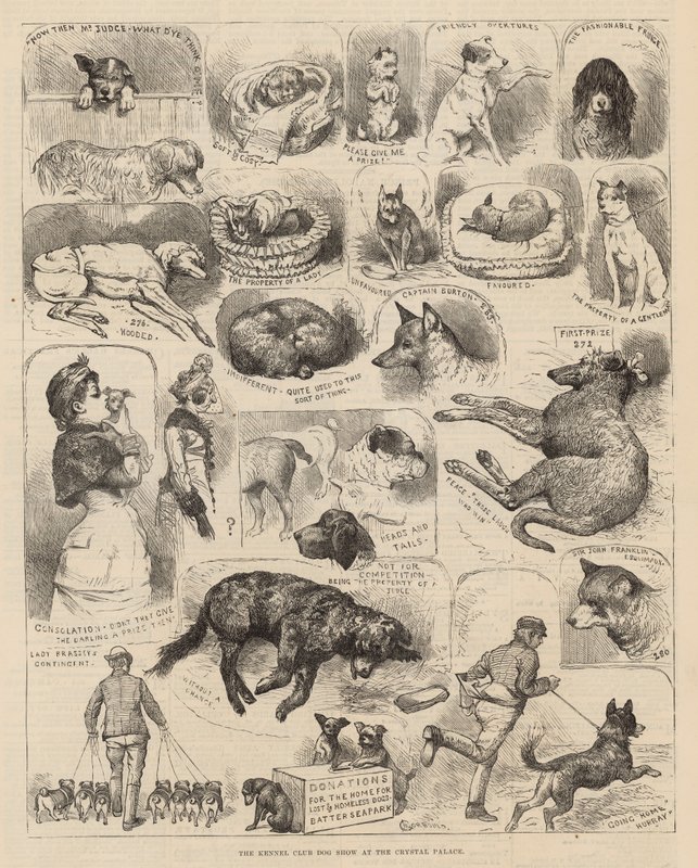 Kennelklubbens hundutställning i Crystal Palace av Alfred Chantrey Corbould
