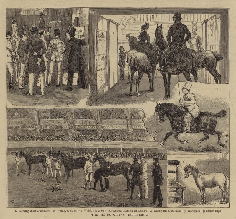 Metropolitan Horse-Show av Alfred Chantrey Corbould