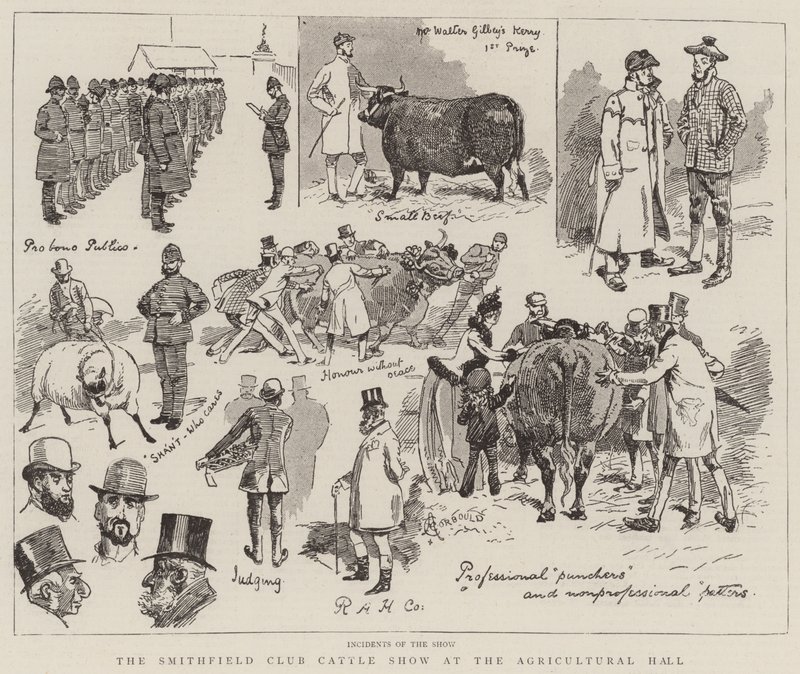 Smithfield Club Cattle Show på Agricultural Hall av Alfred Chantrey Corbould