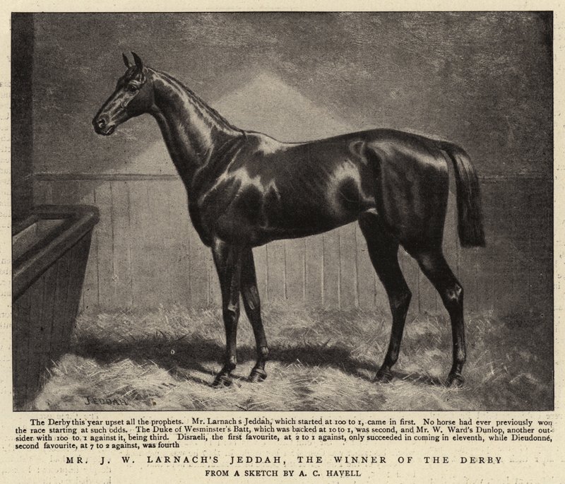 Mr J W Larnachs Jeddah, vinnaren av Derbyt av Alfred Charles Havell
