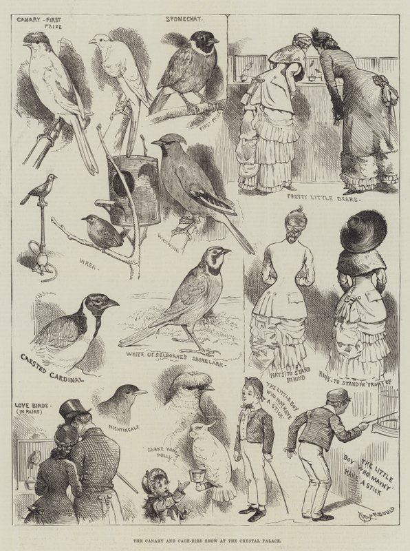 Canary och Cage-Bird Show på Crystal Palace av Alfred Courbould