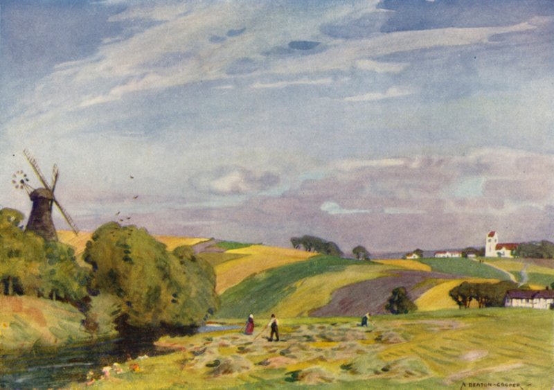 Danmark: Ett typiskt danskt landskap, Sydjylland (färg litho) av Alfred Heaton Cooper