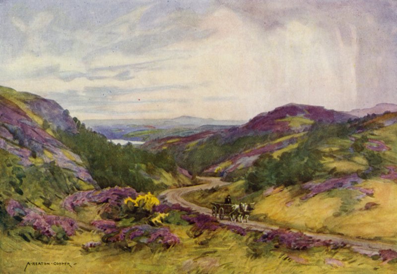 Danmark: Raebild Hills, nära Aalborg (färg litho) av Alfred Heaton Cooper
